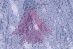 o2014_01